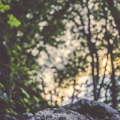 test-gen-wXa1rtSq-Provider Desktop Only_big_logo.jpg